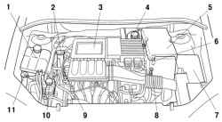 Общий вид подкапотного пространства автомобилей с двигателями ZJ и Z6